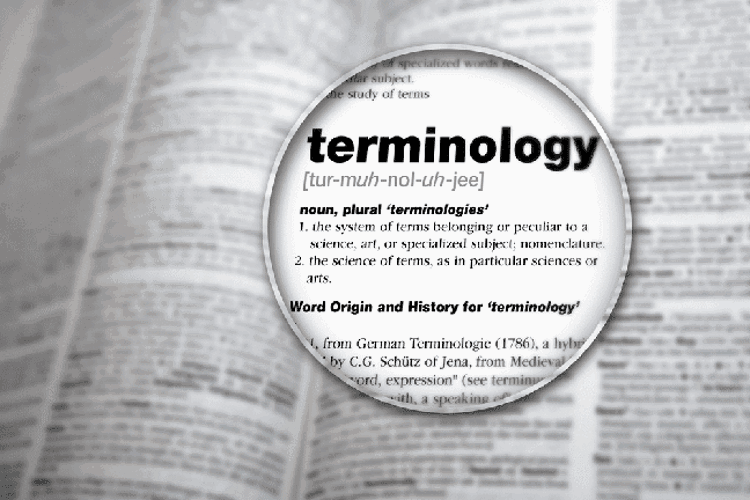 What are the Terminologies used for Blockchain Identity Management Schemes?